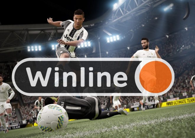 Как связаться со службой поддержки Винлайн: полный гид по каналам коммуникации